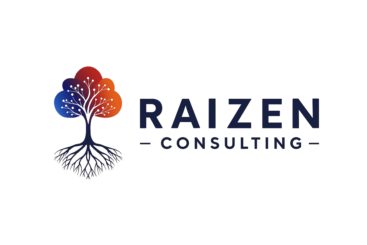 Raizen Consulting